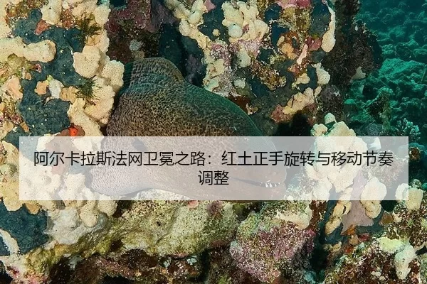 a-er-ka-la-si-fa-wang-wei-mian-zhi-lu-hong-tu-zheng-shou-xuan-zhuan-yu-yi-dong-jie-zou-tiao-zheng-2-870.jpg